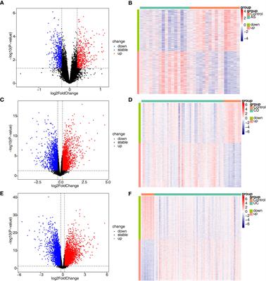 Regulation mechanisms of disulfidptosis-related genes in ankylosing spondylitis and inflammatory bowel disease